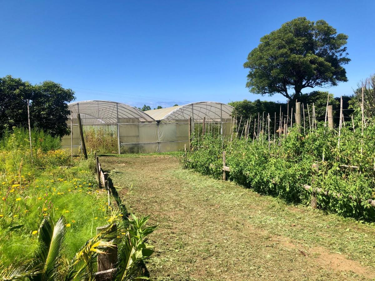 Quinta Dos Sabores Farm Houses 리베라그란데 외부 사진